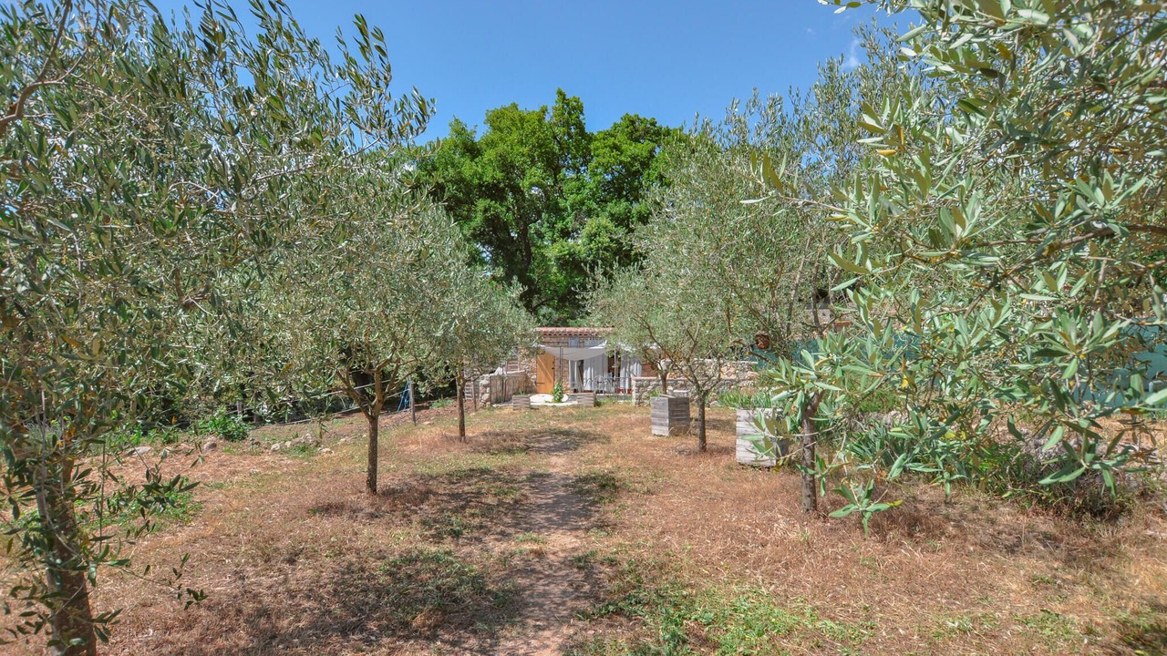 Photo of Outdoor in Montauroux