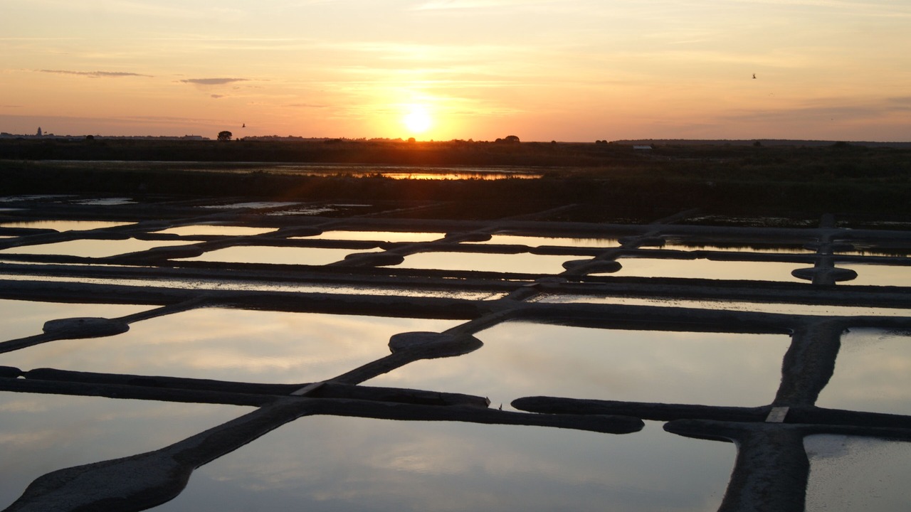 Photo of Others in Le Pouliguen