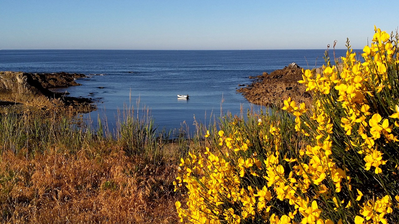 Photo of Outdoor in Le Pouliguen