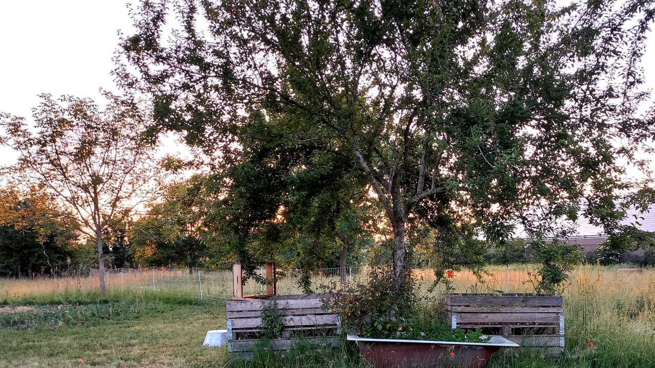 Photo of Outdoor in Marsac
