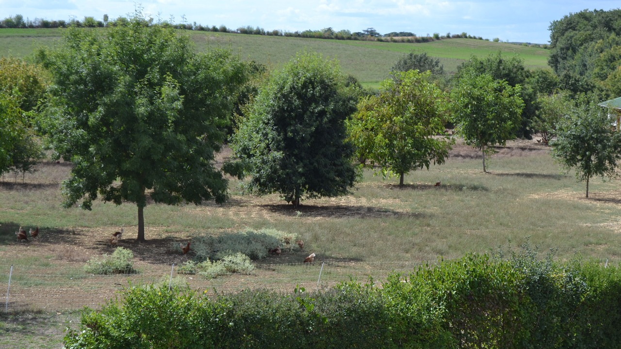 Photo of Outdoor in Marsac