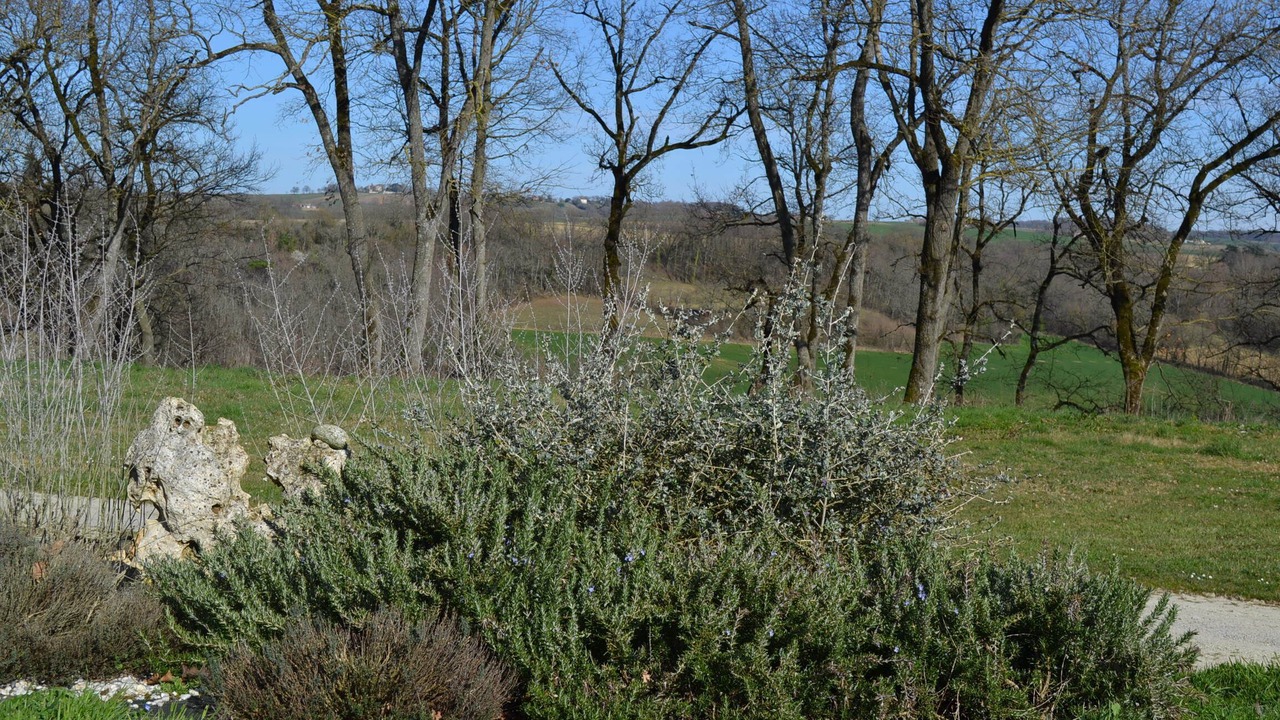 Photo of Outdoor in Marsac