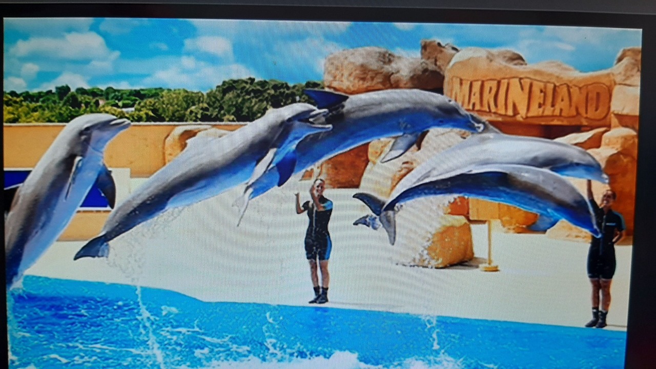 Photo of Outdoor in Terra Brava