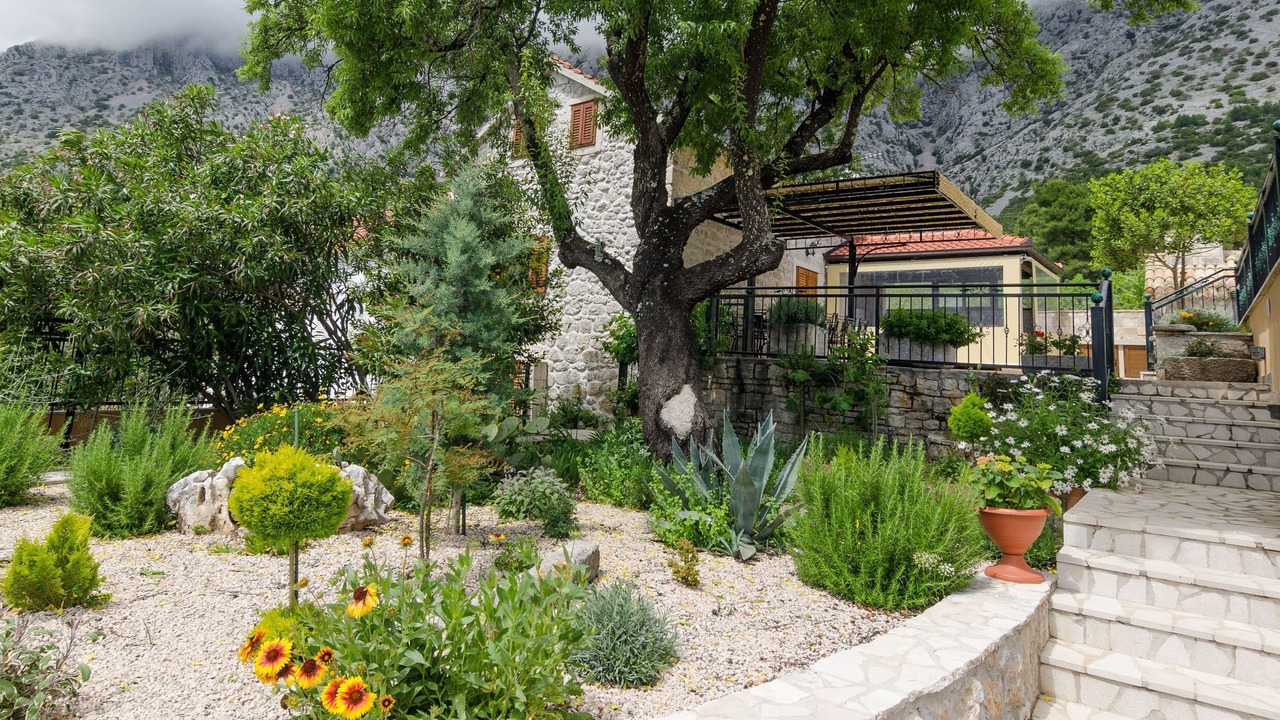 Photo of Outdoor in Orebic