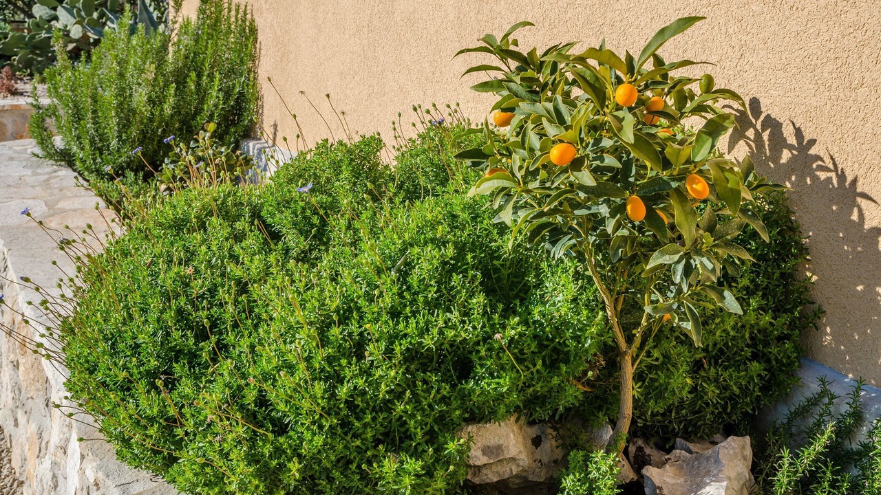 Photo of Outdoor in Orebic