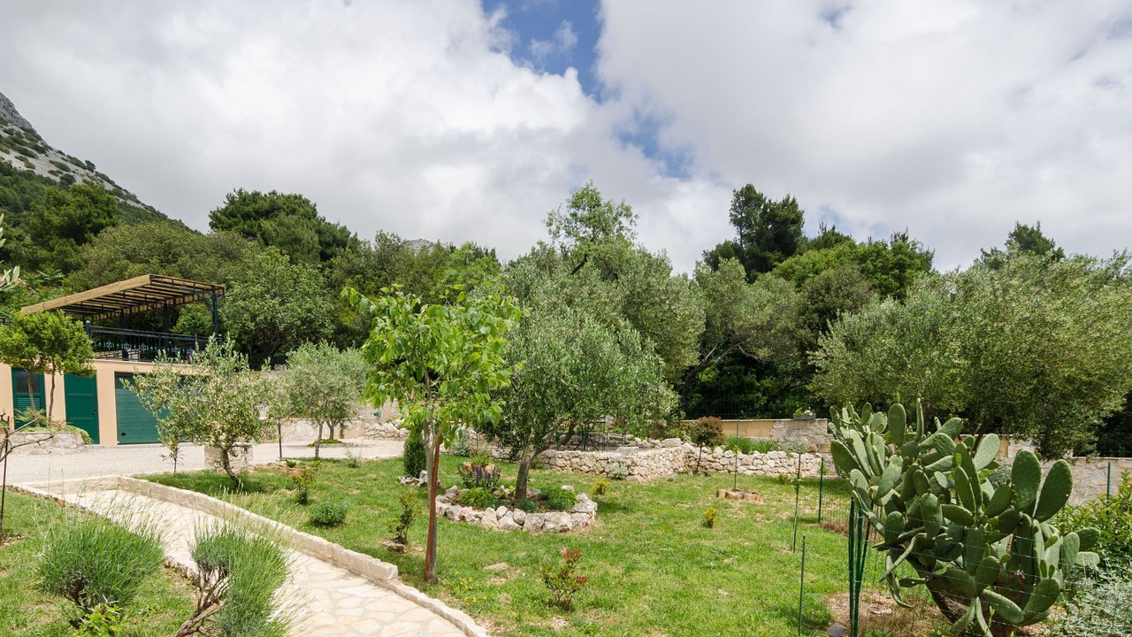 Photo of Outdoor in Orebic