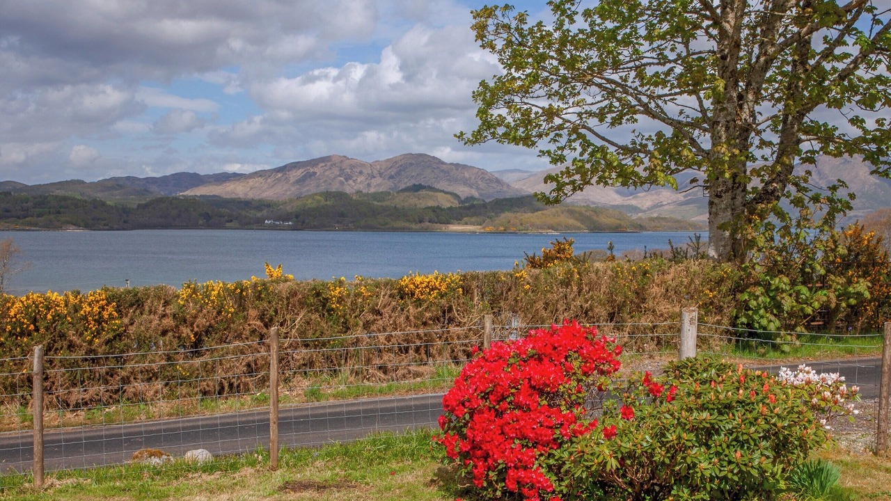 Photo of Outdoor in Benderloch