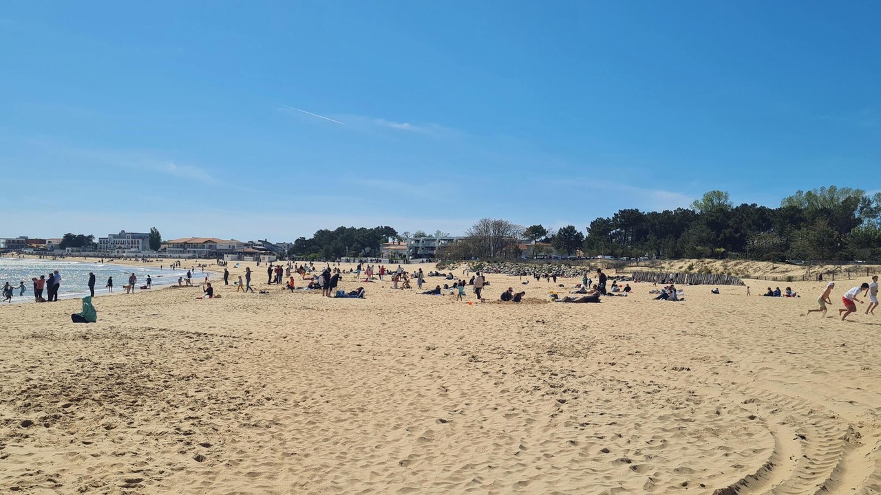 Photo of Others in Angles