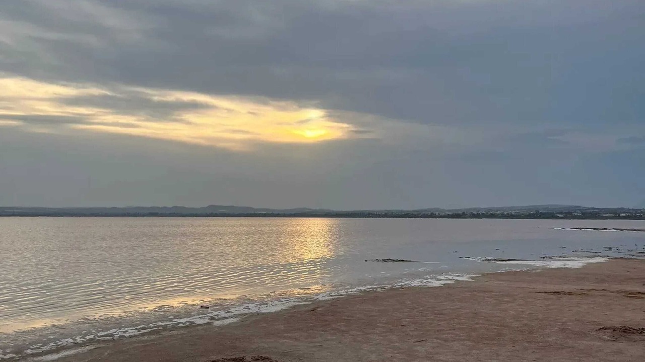 Photo of Others in Angles