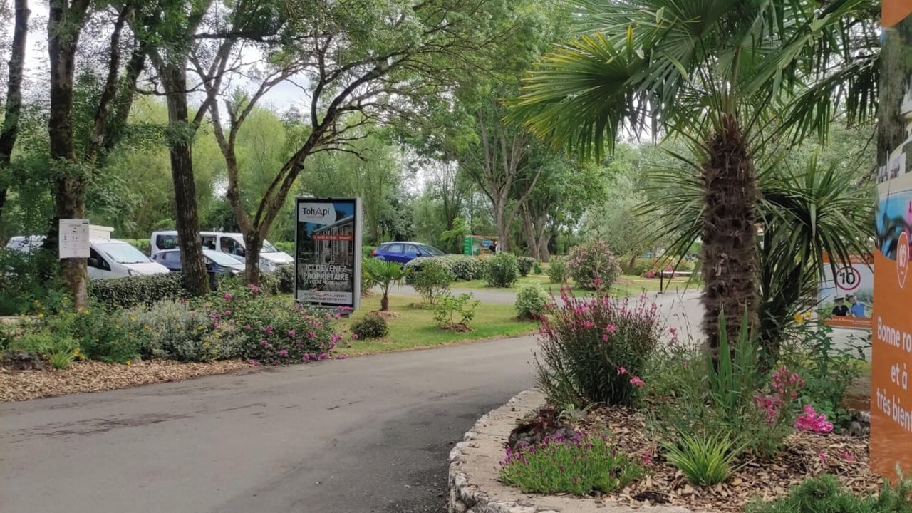 Photo of Others in Angles