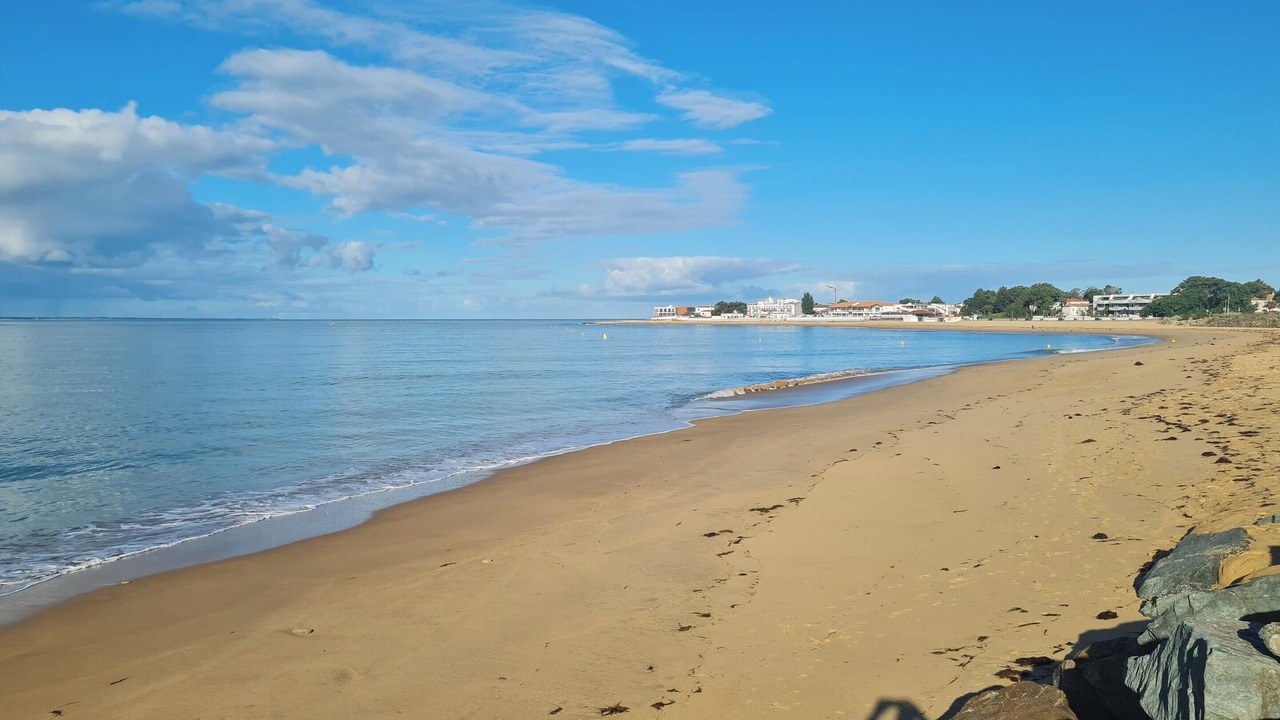 Photo of Others in Angles