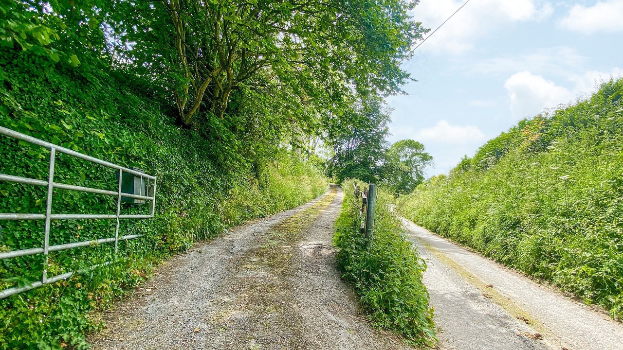 Photo of Others in Cliffe Pypard
