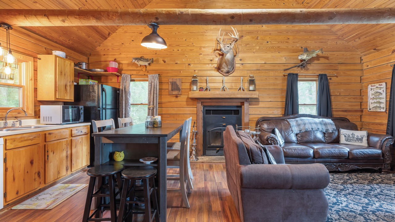 Photo of Livingroom in Shell Knob