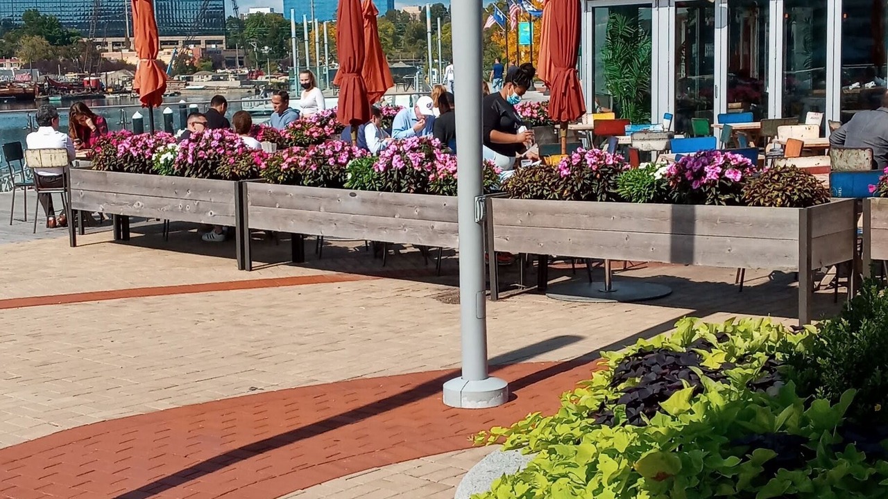 Photo of Others in Cove - East Side - Shippan