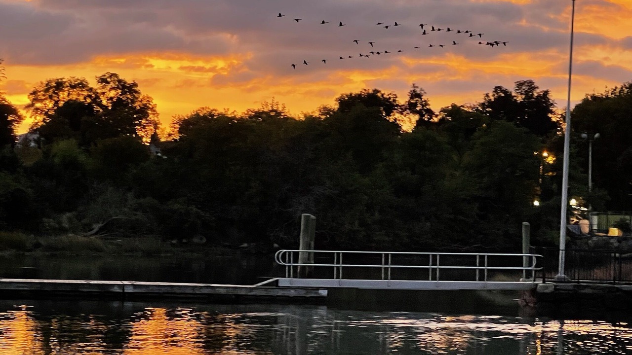 Photo of Outdoor in Cove - East Side - Shippan