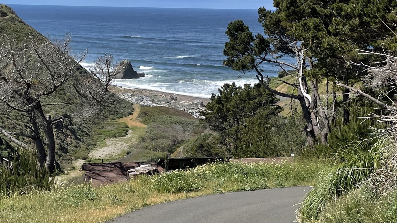 Photo of Others in Manchester