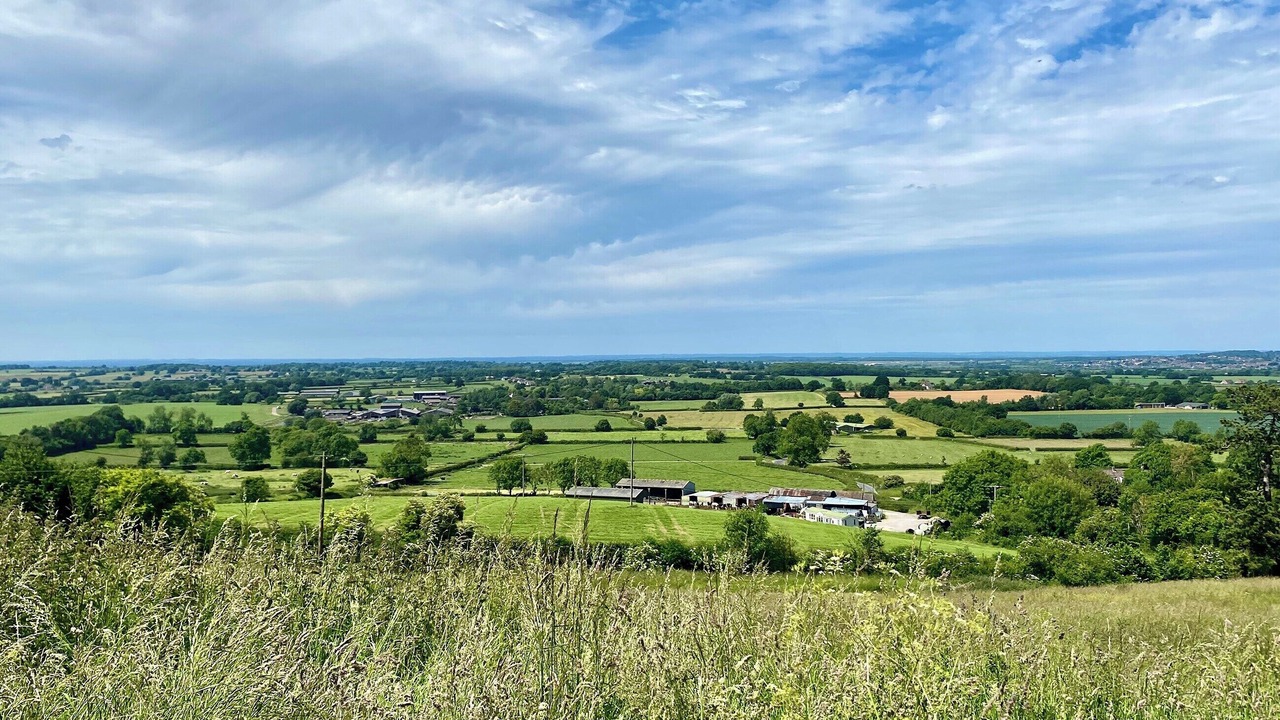 Photo of Others in Cliffe Pypard