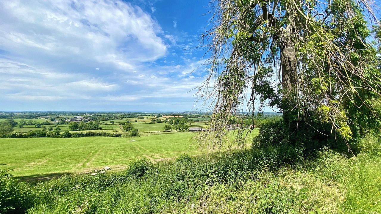 Photo of Others in Cliffe Pypard