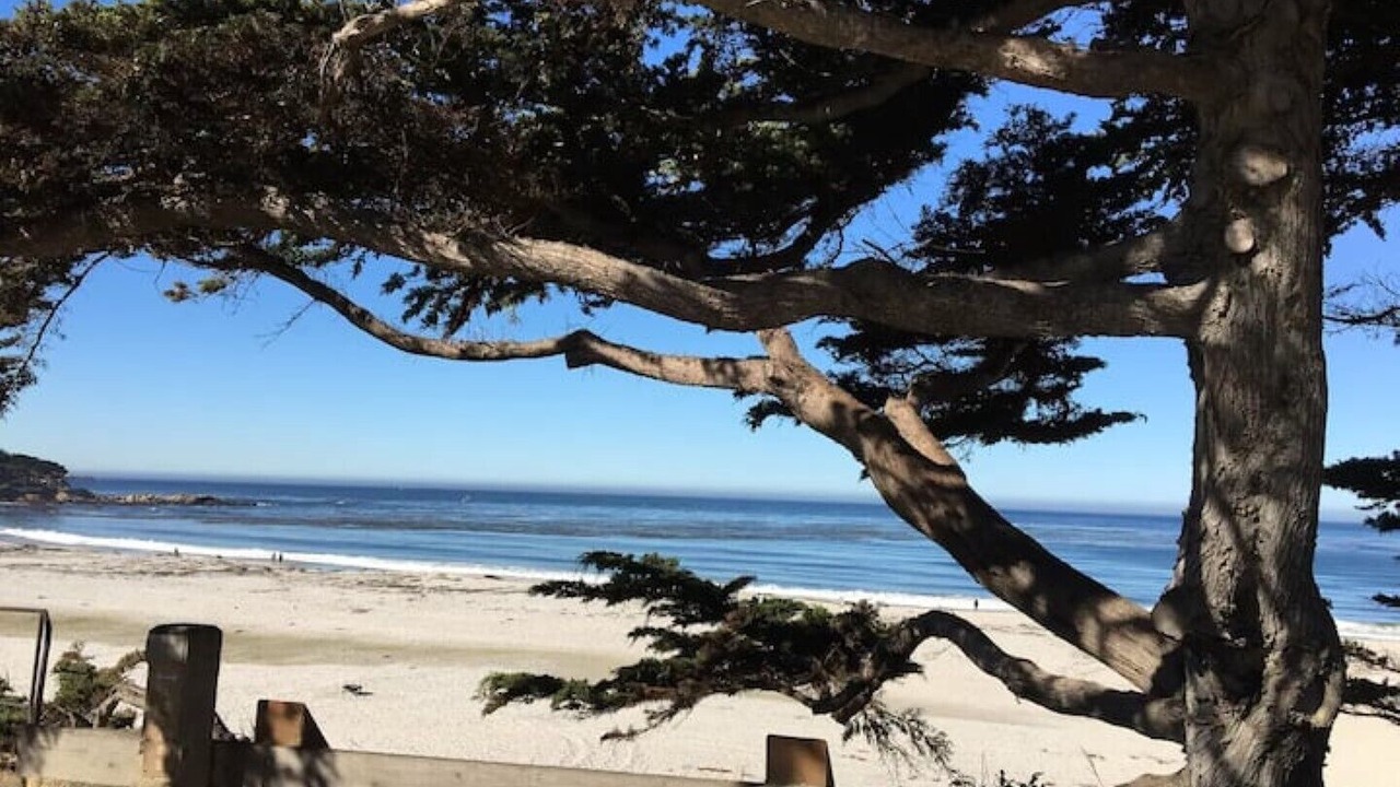 Photo of Others in Del Monte Forest