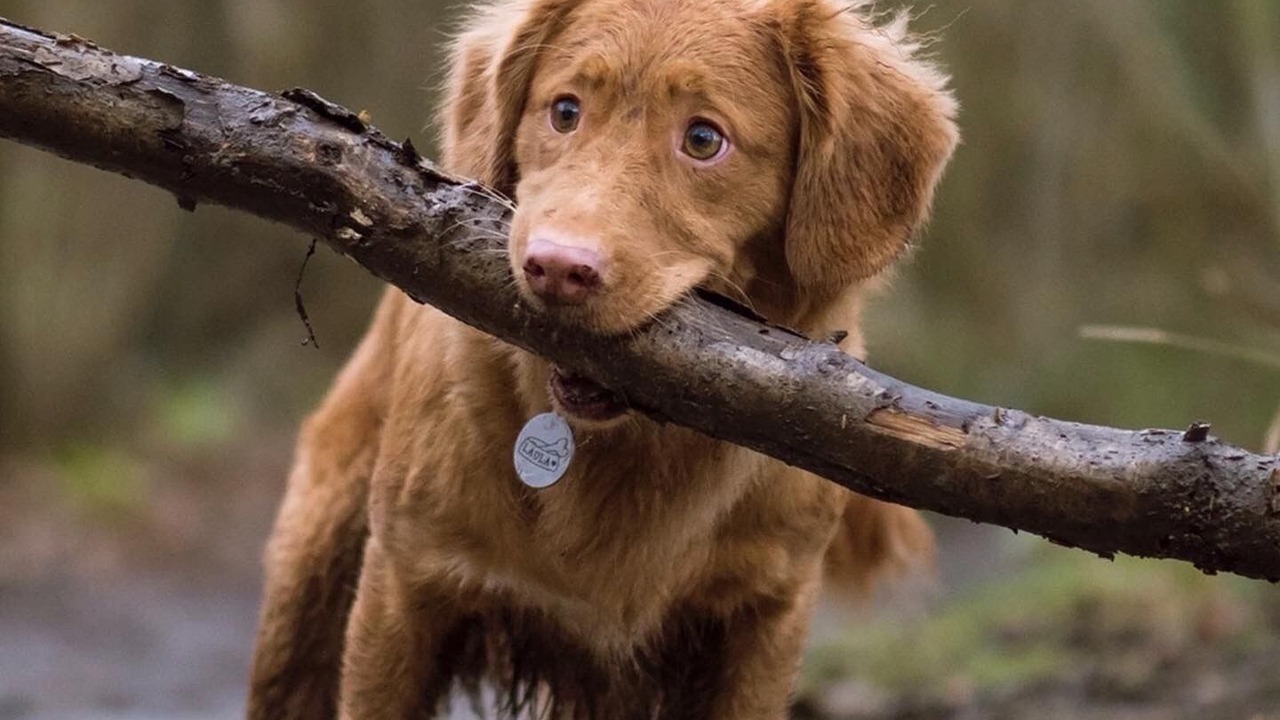 Photo of Others in Buckton