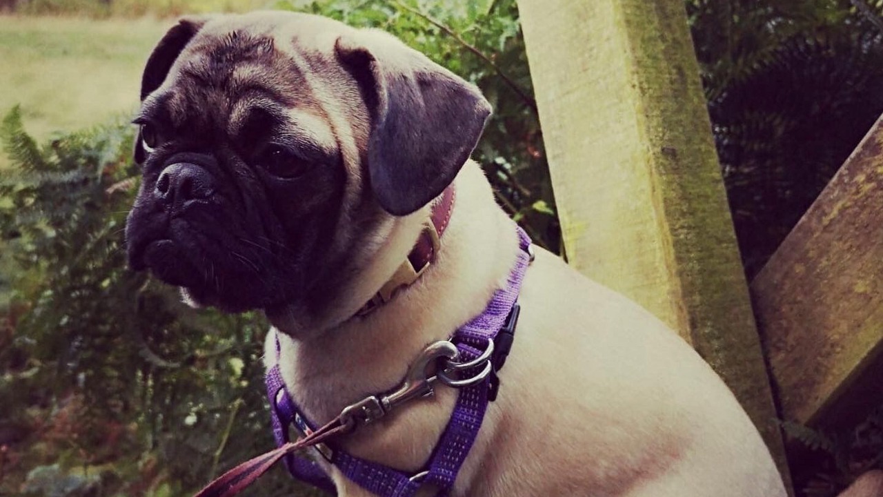 Photo of Others in Buckton