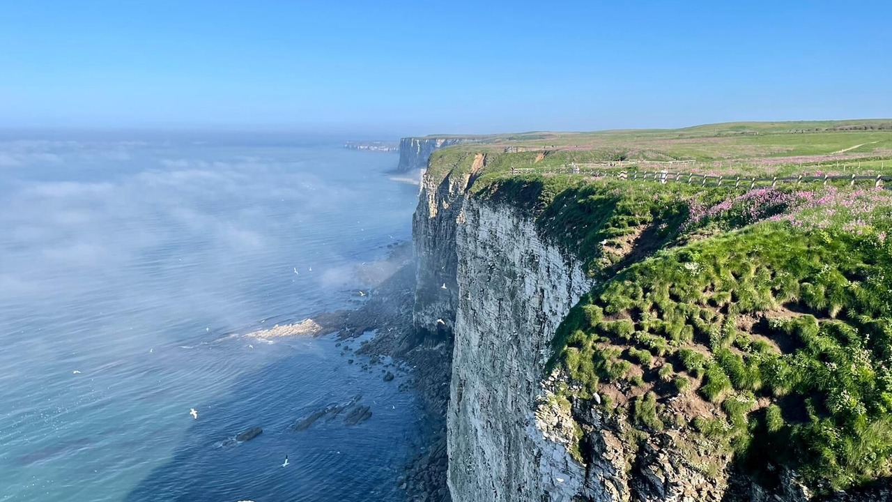 Photo of Others in Buckton