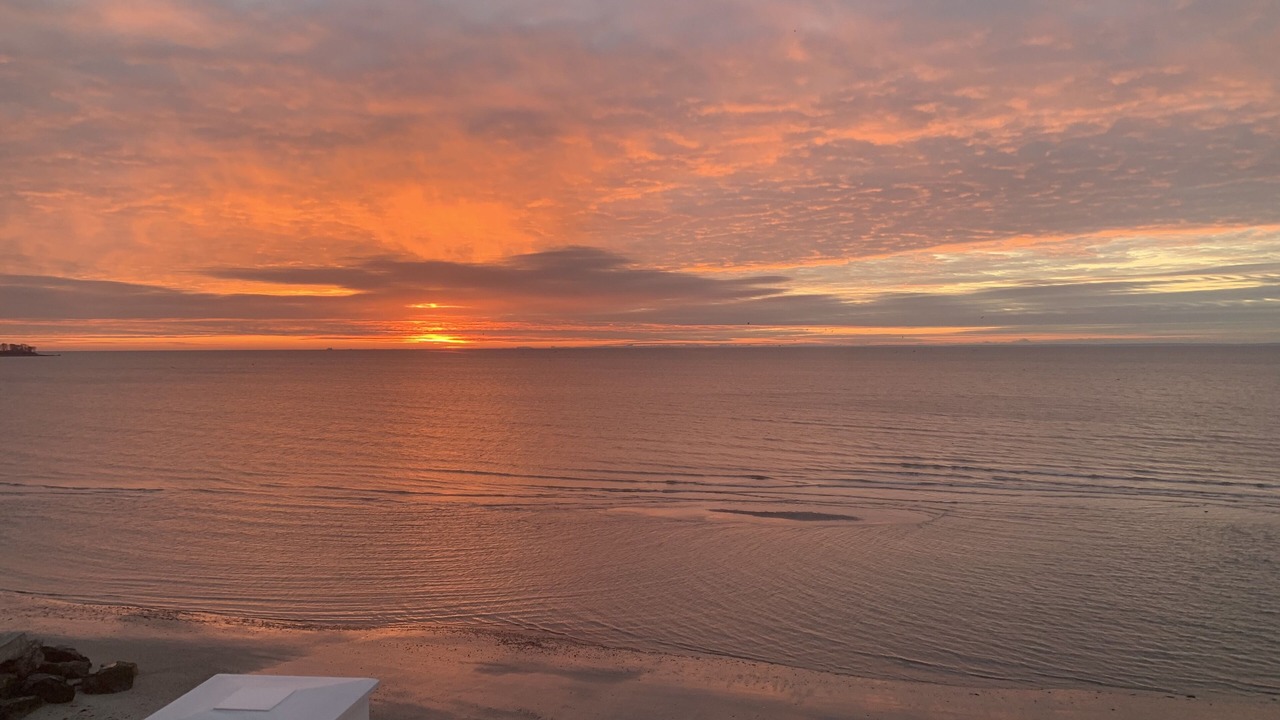 Photo of Others in Devon