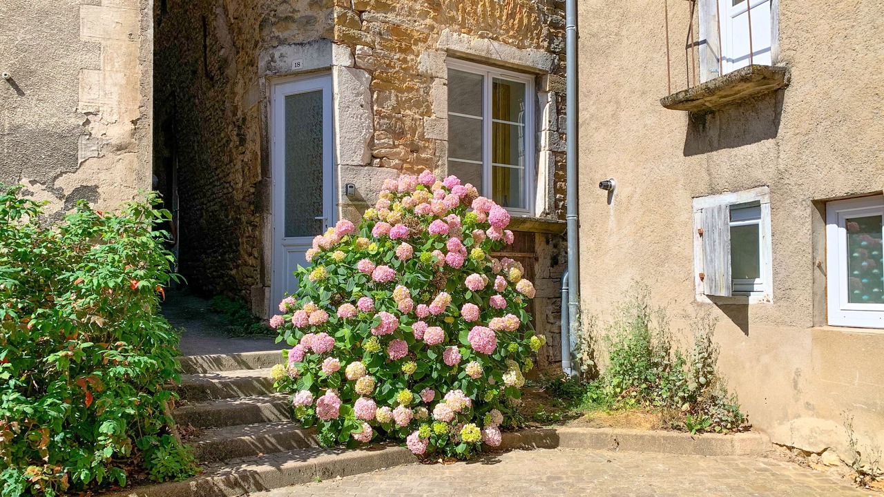 Photo of Outdoor in Buxy