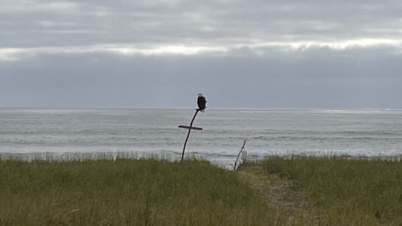 Photo of Others in Cohassett Beach