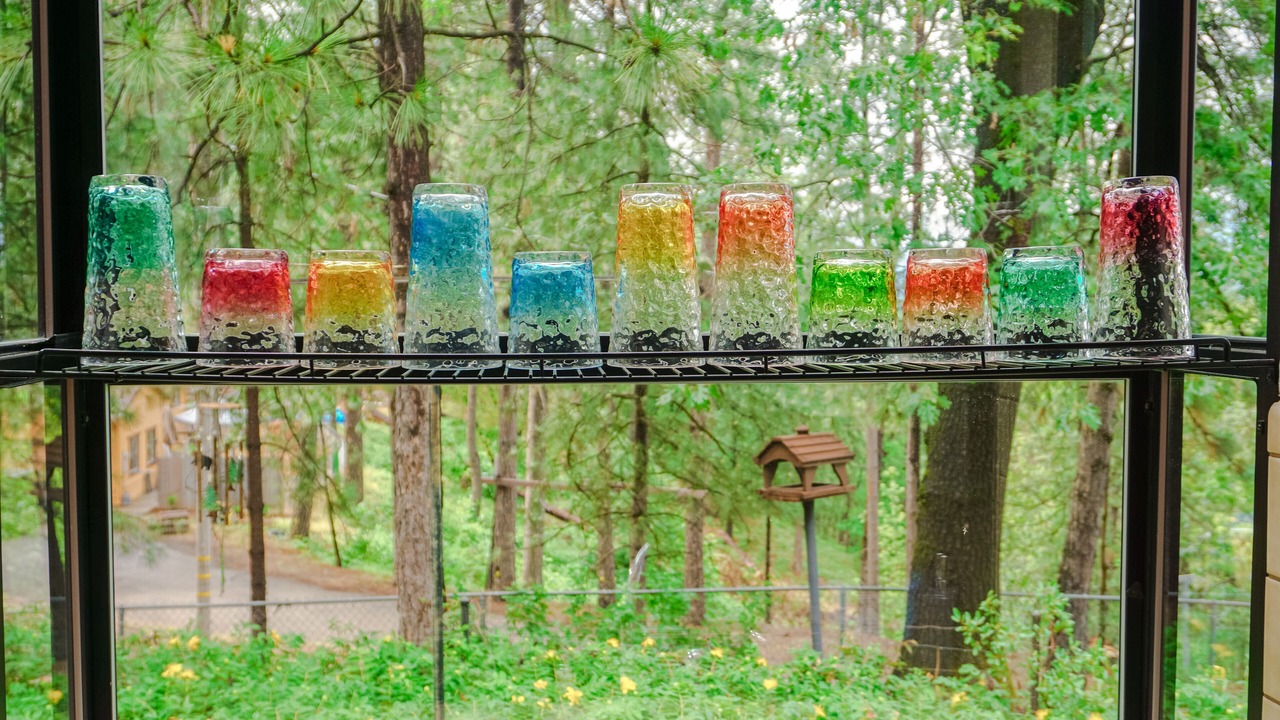 Photo of Others in O'Brien