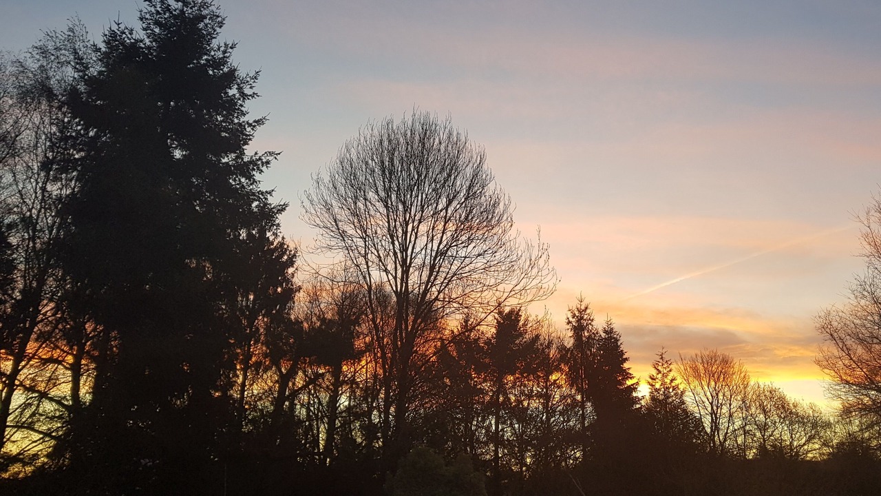 Photo of Others in Plouay