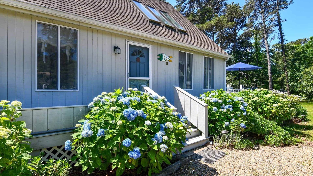 Photo of Outdoor in Katama