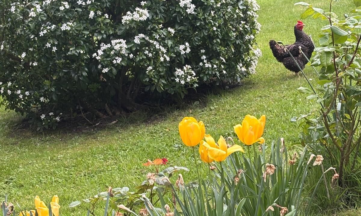 Photo of Outdoor in Saint-Riquier-es-Plains