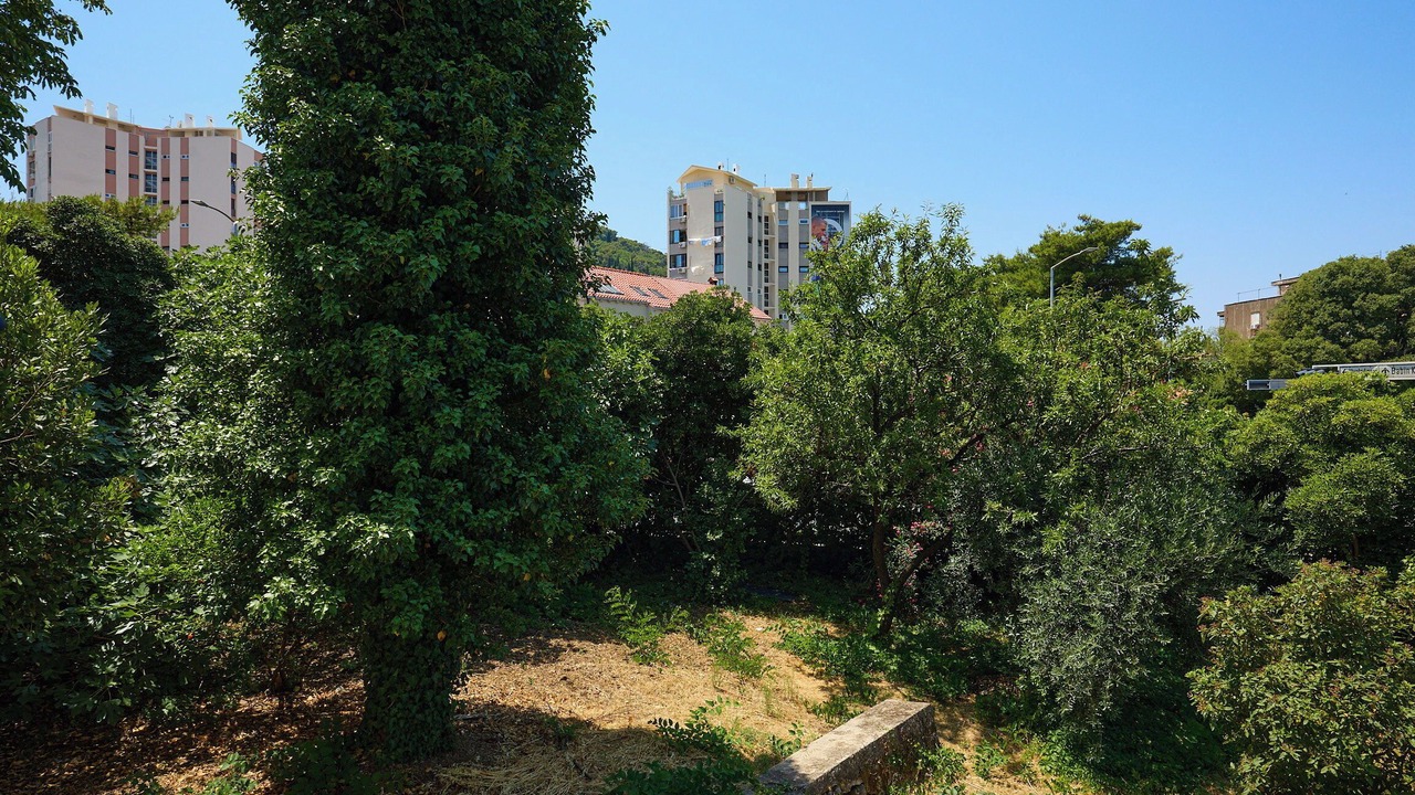 Photo of Others in Lapad