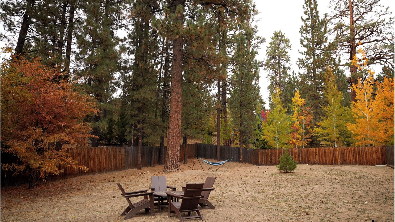 Photo of Outdoor in The Village