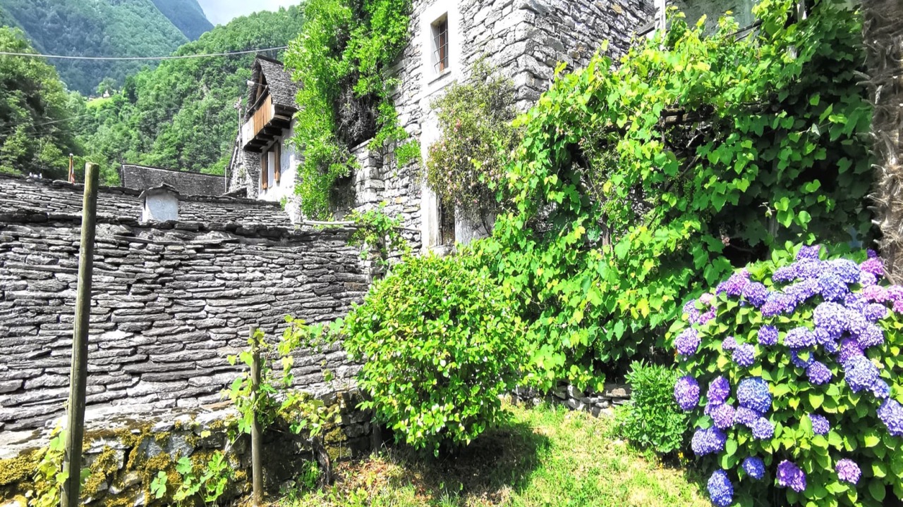 Photo of Outdoor in Corippo