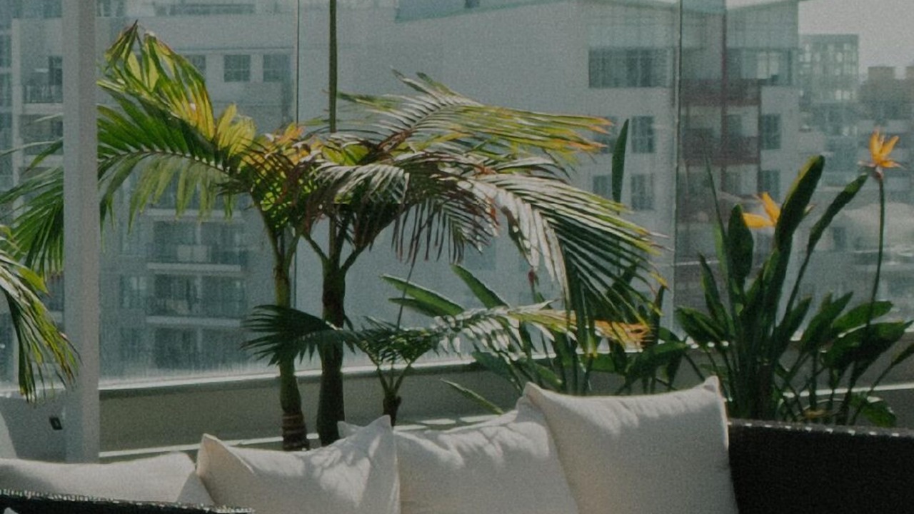 Photo of Outdoor in West Fens