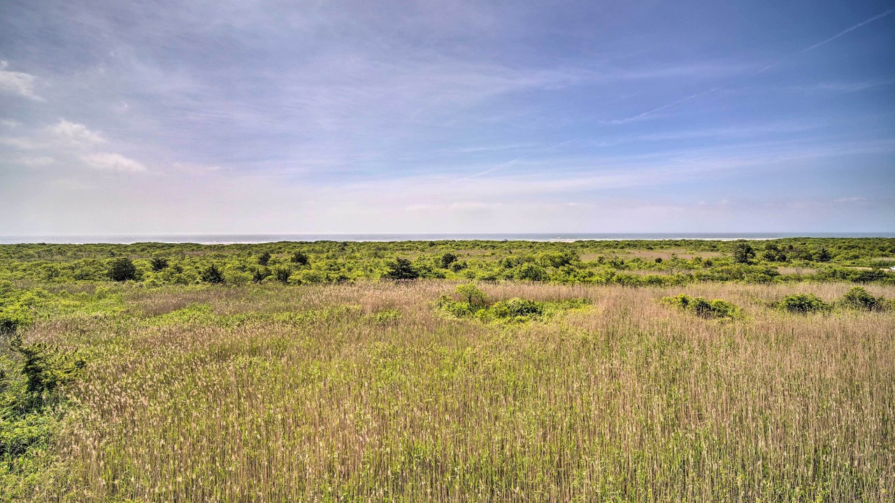 Photo of Others in Southend