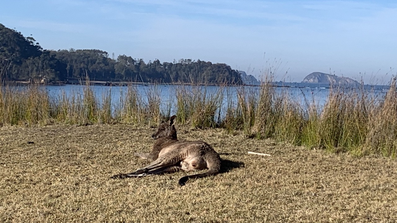 Photo of Others in Maloneys Beach