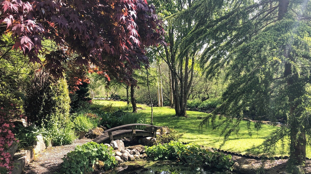 Photo of Others in Dalbeattie