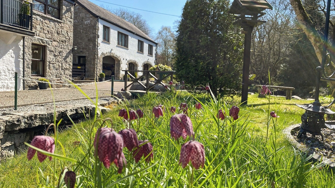 Photo of Outdoor in Dalbeattie