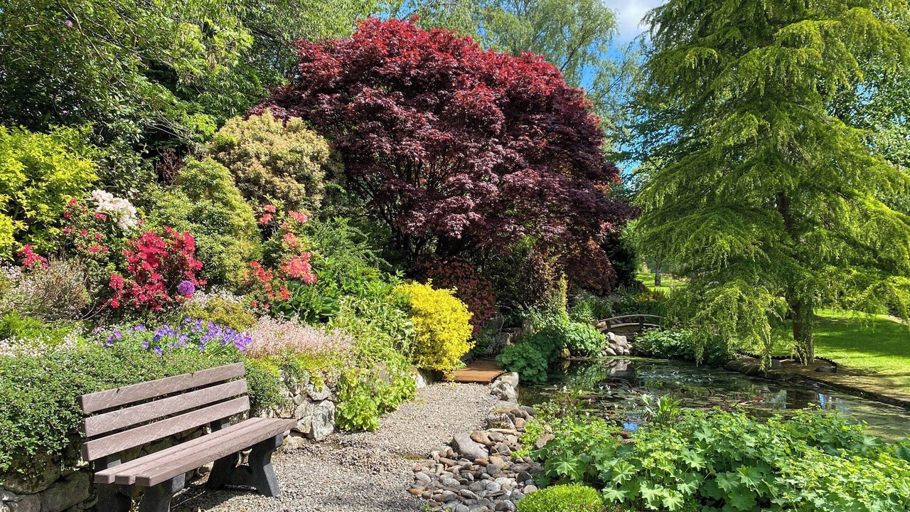 Photo of Others in Dalbeattie