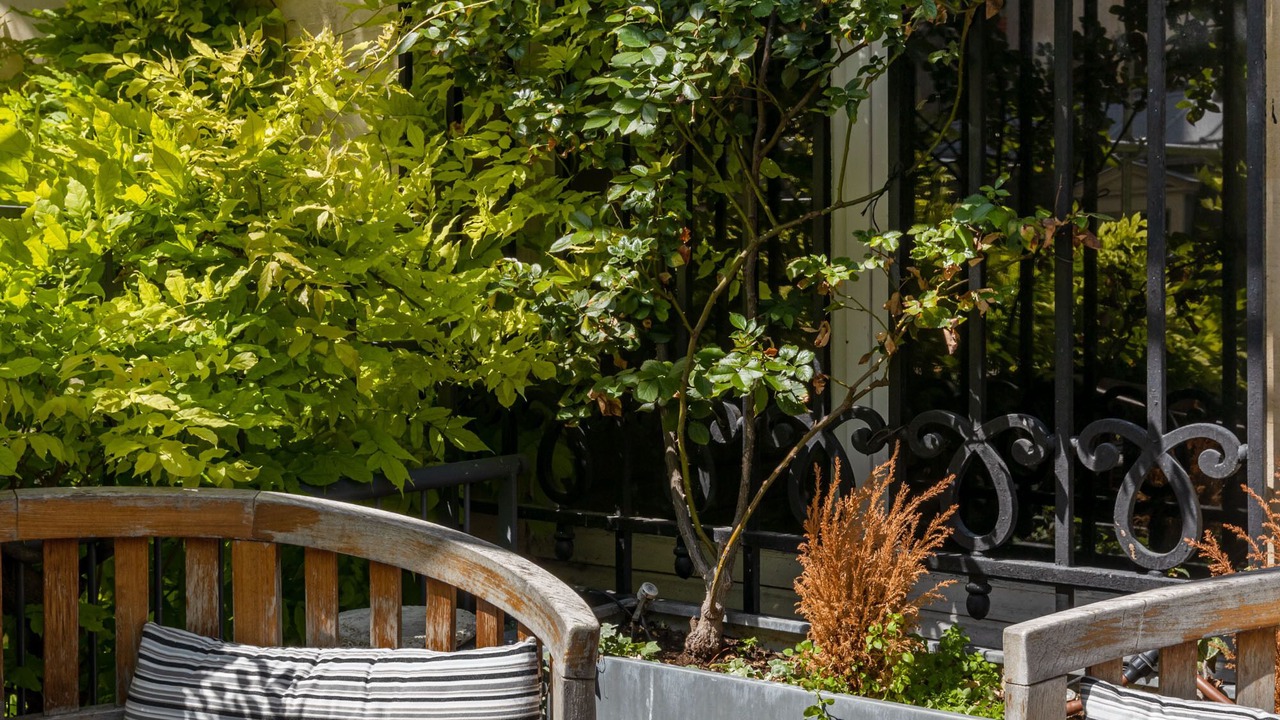 Photo of Patio Balcony in Porte-Dauphine