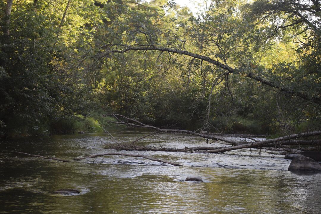Photo of Others in Fifty Lakes