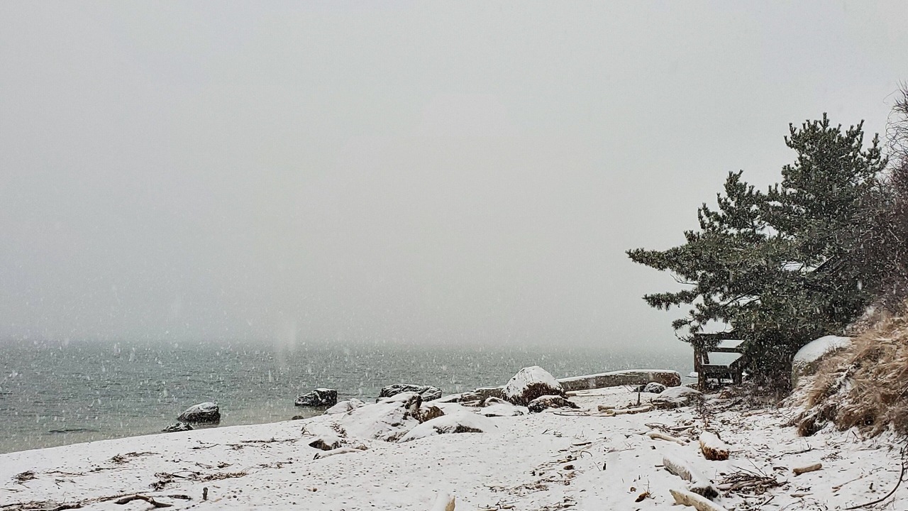 Photo of Others in Town of Southold Town