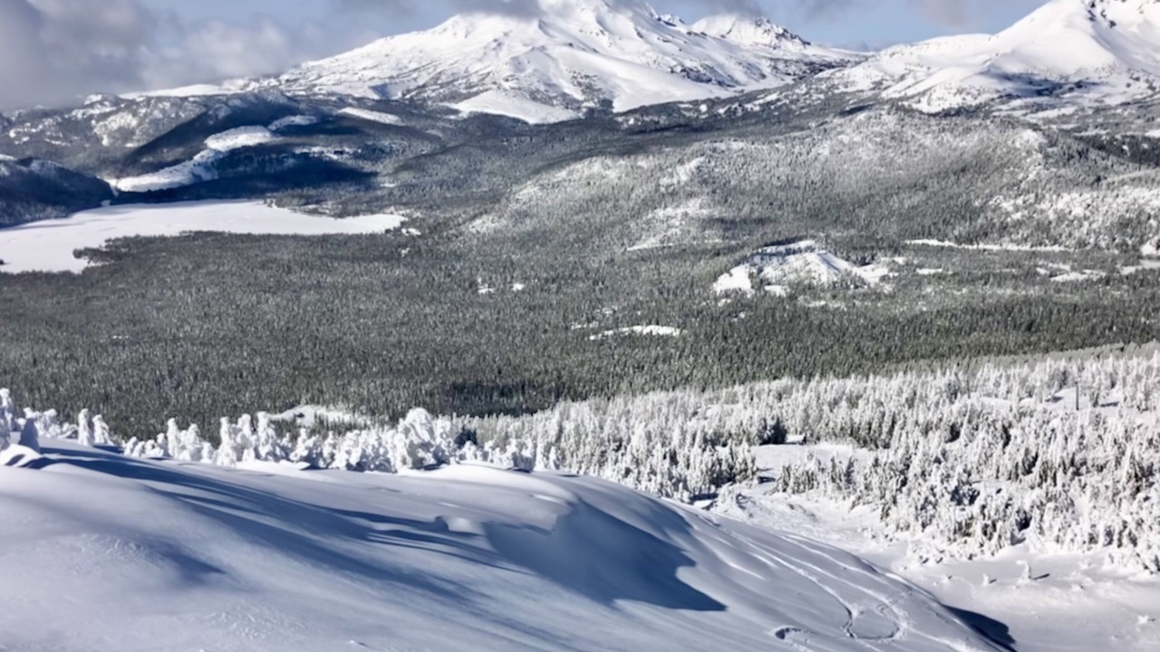 Photo of Others in Larkspur