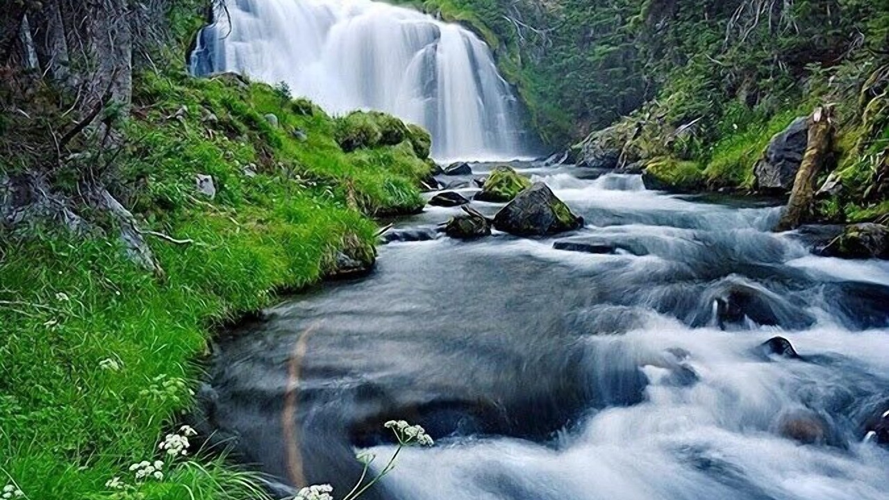 Photo of Others in Larkspur