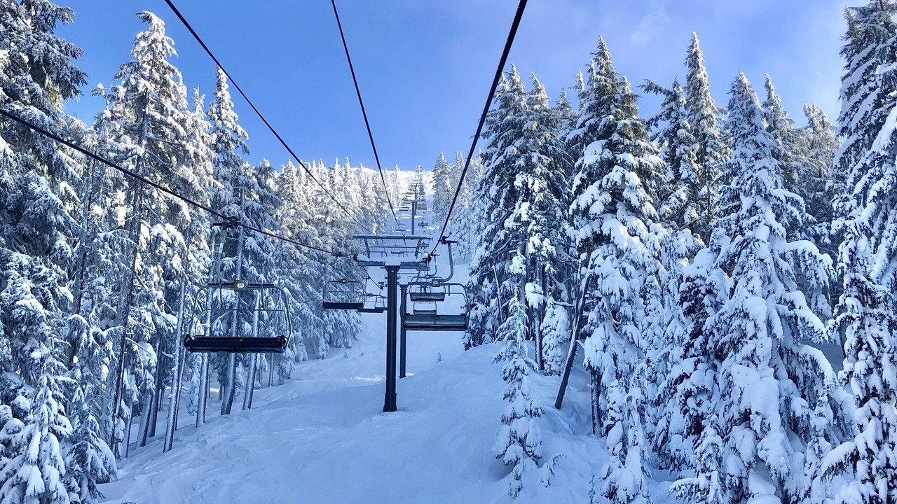 Photo of Others in Larkspur