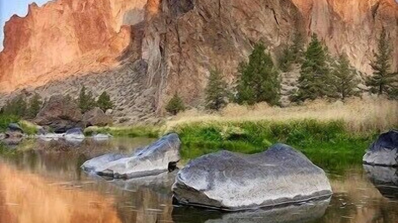 Photo of Others in Larkspur