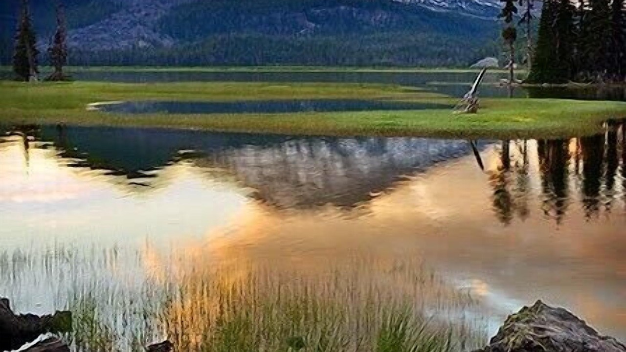 Photo of Others in Larkspur